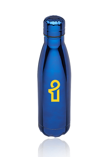 17 oz. Metallic Levian Cola Water Bottles | TM301M
