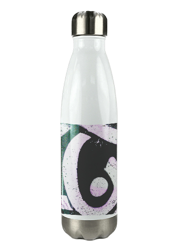 17 oz Stainless Steel Insulated Water Bottle