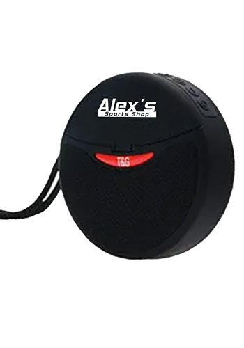 2 in 1 Bluetooth Speaker with Wireless Earbuds