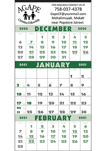 3-Month Planner 12 Sheet Triumph Calendars | X11413