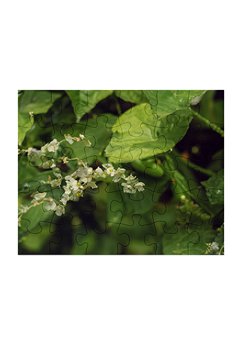 30 Piece Jigsaw Photo Puzzle