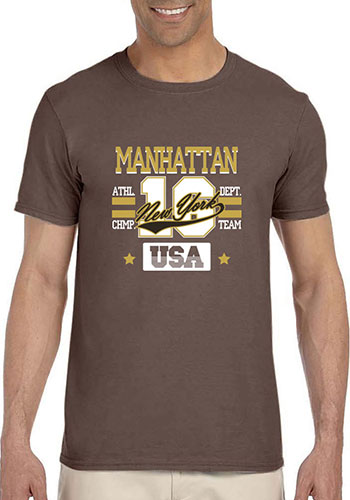 Gildan Soft Style Adult T-shirts