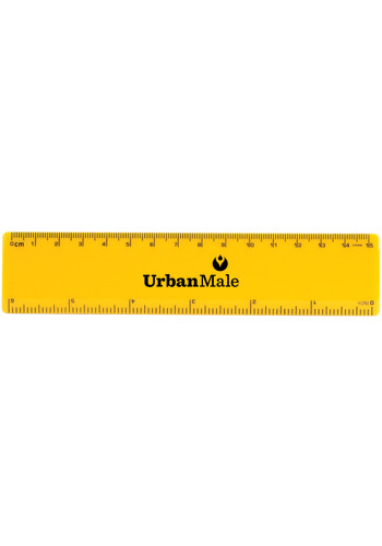 Standard 6 in. Rulers | CPS0278