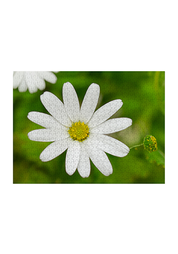 500 Piece Jigsaw Photo Puzzle