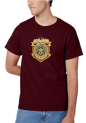 Hanes Tagless T-Shirt 5250 - 100% Cotton, Classic Fit, Preshrunk, Multiple Colors - View #2