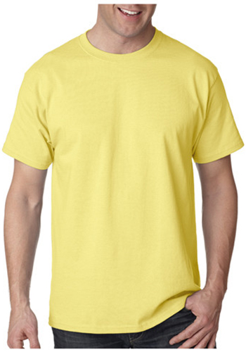 Printed Hanes Authentic-T T-shirts | 5250 - DiscountMugs