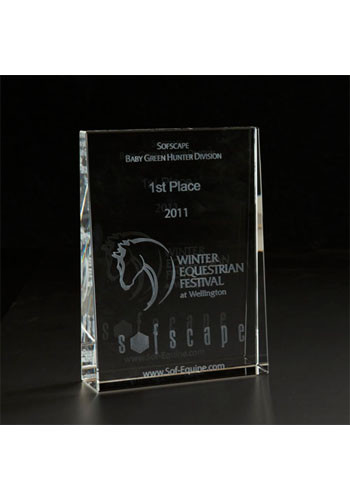3D Crystal Wedge Large Glass Awards | MBMIC3D019