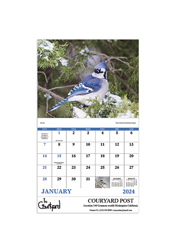 Birds of North America Triumph Calendars | X30166
