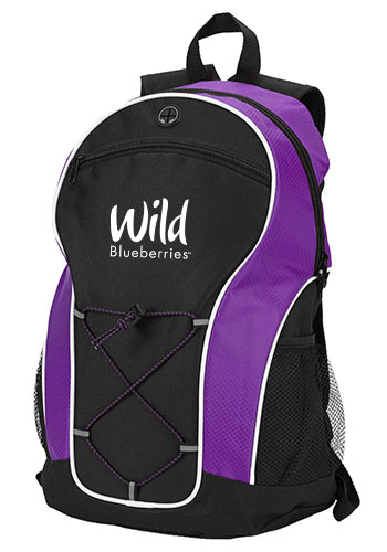 Custom Printed Polyester Ultimate Backpacks
