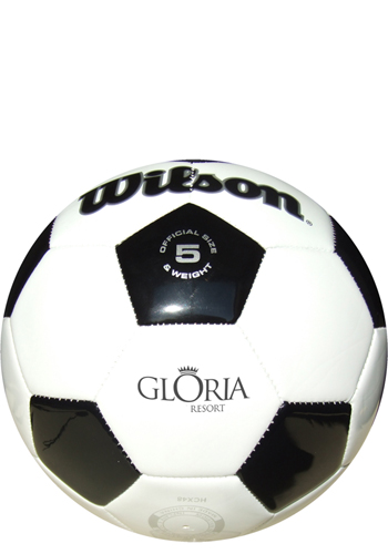 2 Wilson Synthetic Leather Soccer Balls | GBWLSOC