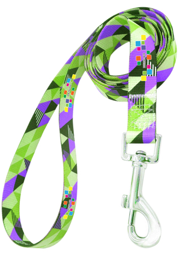 Dog Leash with Adjustable Collar and Carabiner