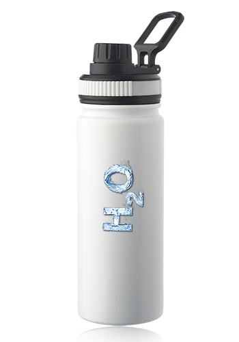 Houston 23 oz. Stainless Steel Water Bottle with Carrying Handle | WB350