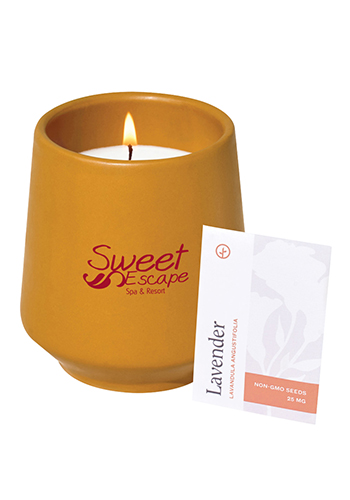 Modern Sprout® Rooted Candle | GL101462