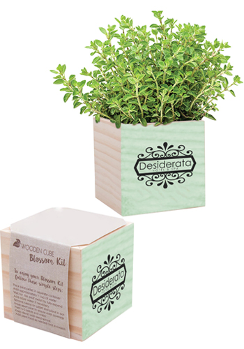Natural Pine Wooden Cube Blossom Kits | IL5650