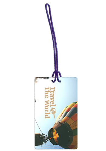 Promotional Name Card Slip-In Pocket Luggage Tags