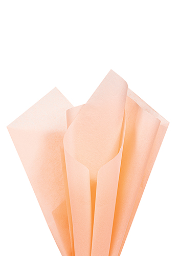 Solid Color Wrapping Tissue | PS5SCT2030