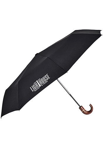 The CEO Eco-Friendly Umbrella | AI746ER