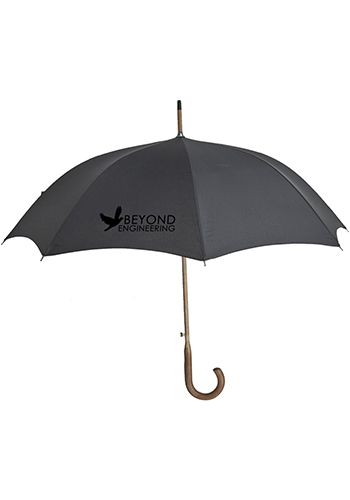 The Euro Fashion Eco-Friendly Umbrella | AI930I