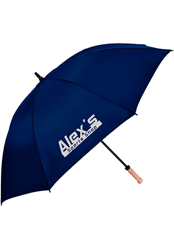 The Storm 2 Eco-Friendly Umbrella | AI160R