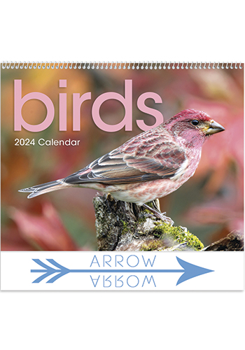 Triumph Birds Calendars | X11253