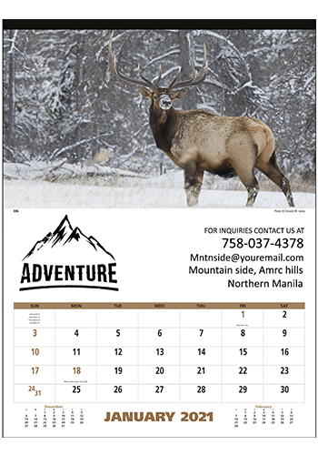 Triumph North American Wildlife Calendars | X11489