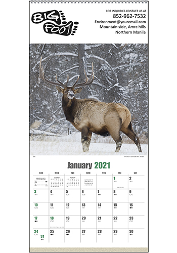 Triumph Sportsman Calendars | X11512