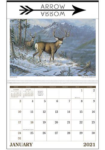 Triumph Wildlife Art  Calendars | X11476