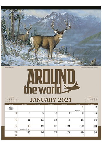 Triumph Wildlife Art Calendars | X11488