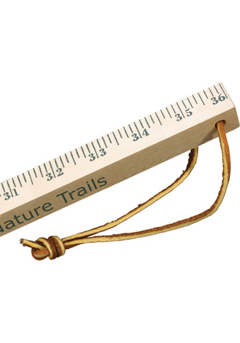 Clear Lacquer  Measuring Sticks | AK92700