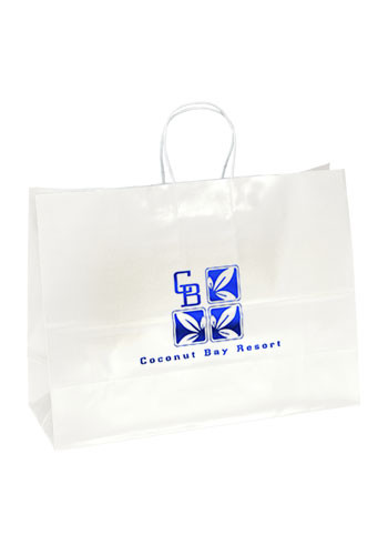 Large White Paper Bags