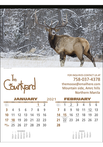 Wildlife Photography Wall Calendars | X11507