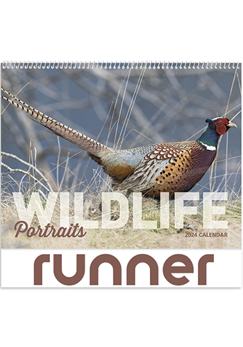 Wildlife Portraits - Spiral Calendars | X30189