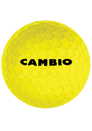 Customized Wilson Staff 50 Elite Golf Balls