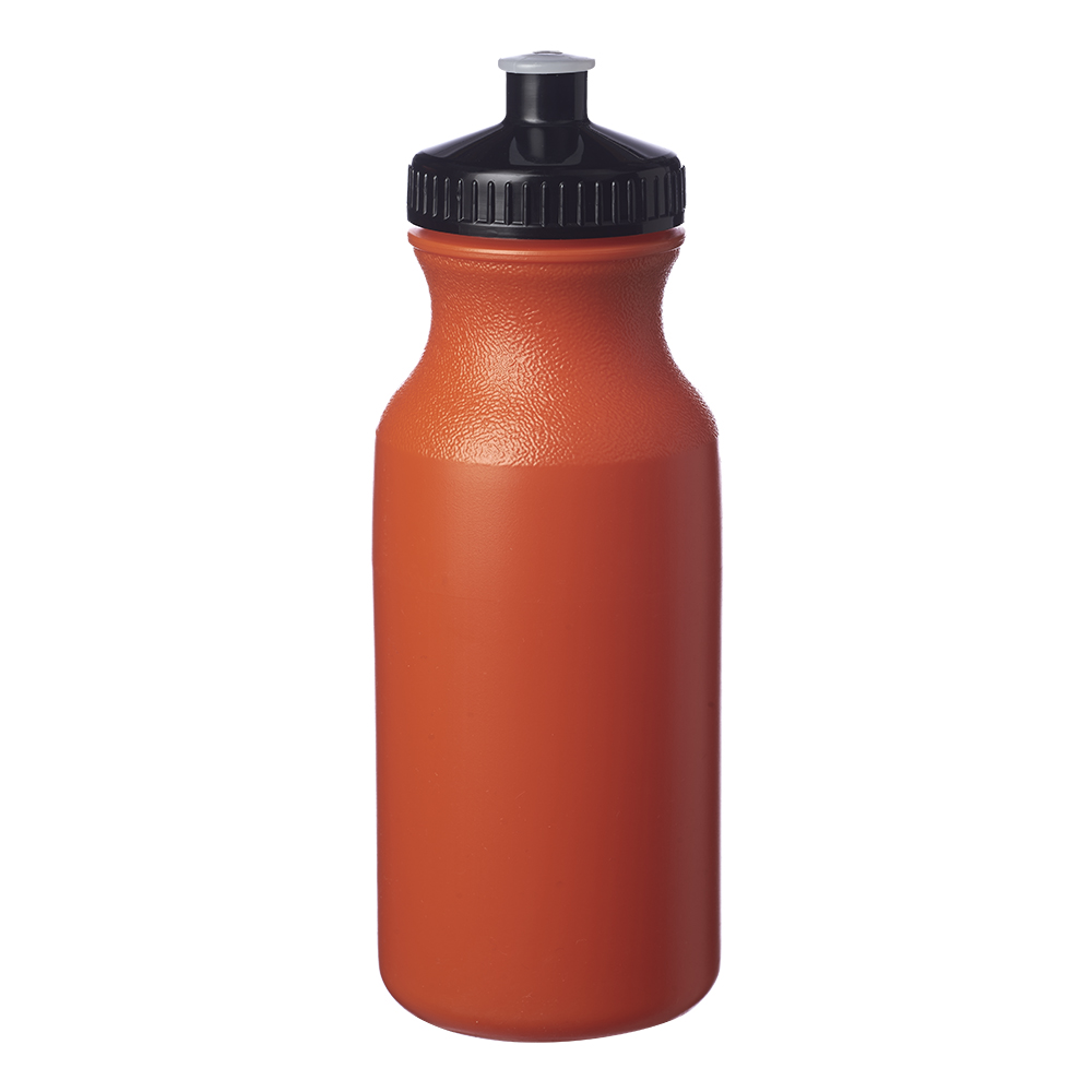 https://belusaweb.s3.amazonaws.com/product-images/designlab/20-oz-water-bottles-with-push-cap-wb20-orange1665520380.jpg