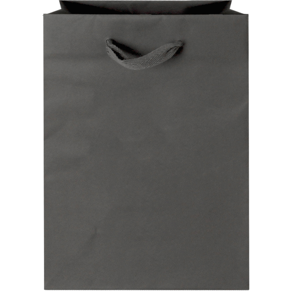 10 x 10 x 10 White Kraft Eurotote Shopping Bags