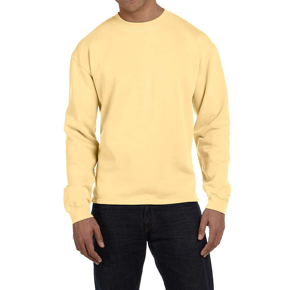 Authentic pigment shop boxy crew sweatshirt