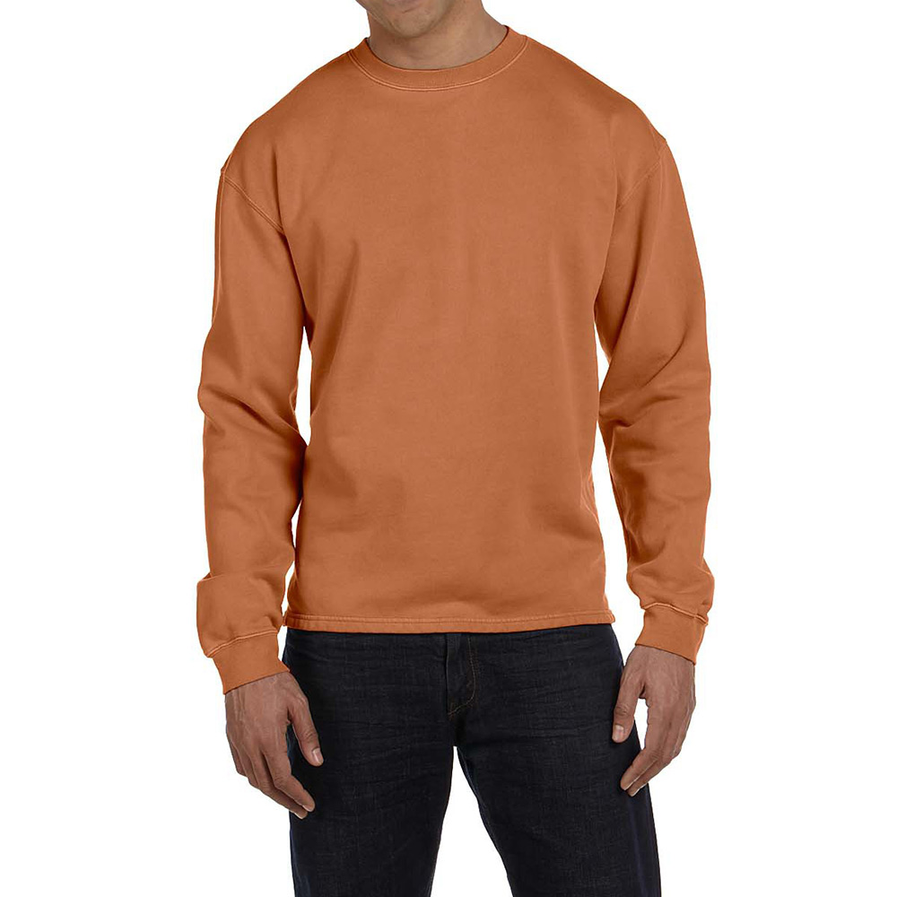 Authentic pigment shop boxy crew sweatshirt