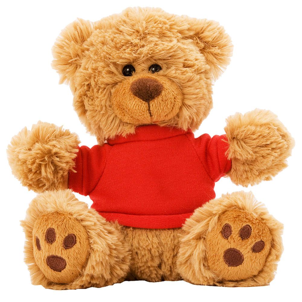 red teddy bear shirt