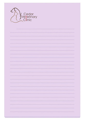 Personalized 25-Sheet Souvenir Adhesive Eco Notepads