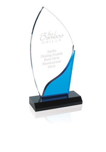 Customized Blue Accent Awards