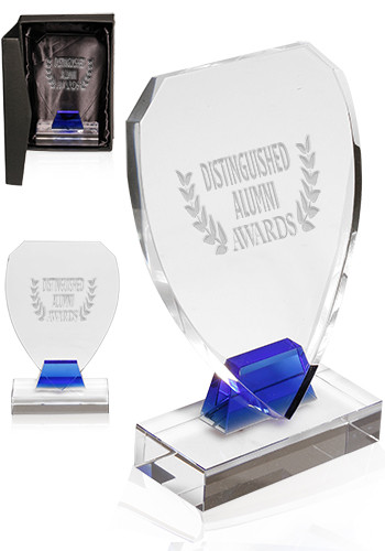 Shield Glass Awards | DMAW09