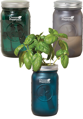 Promotional Modern Sprout Glass Indoor Herb Garden Kits
