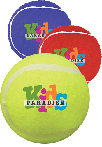 Personalized Pet Toy Tennis Balls