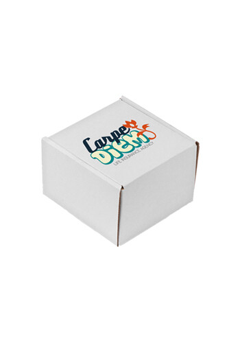 Wholesale Small Full Color White Matte Corrugated Mailer Box