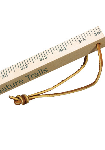 Customized Natural Finish Measuring Sticks