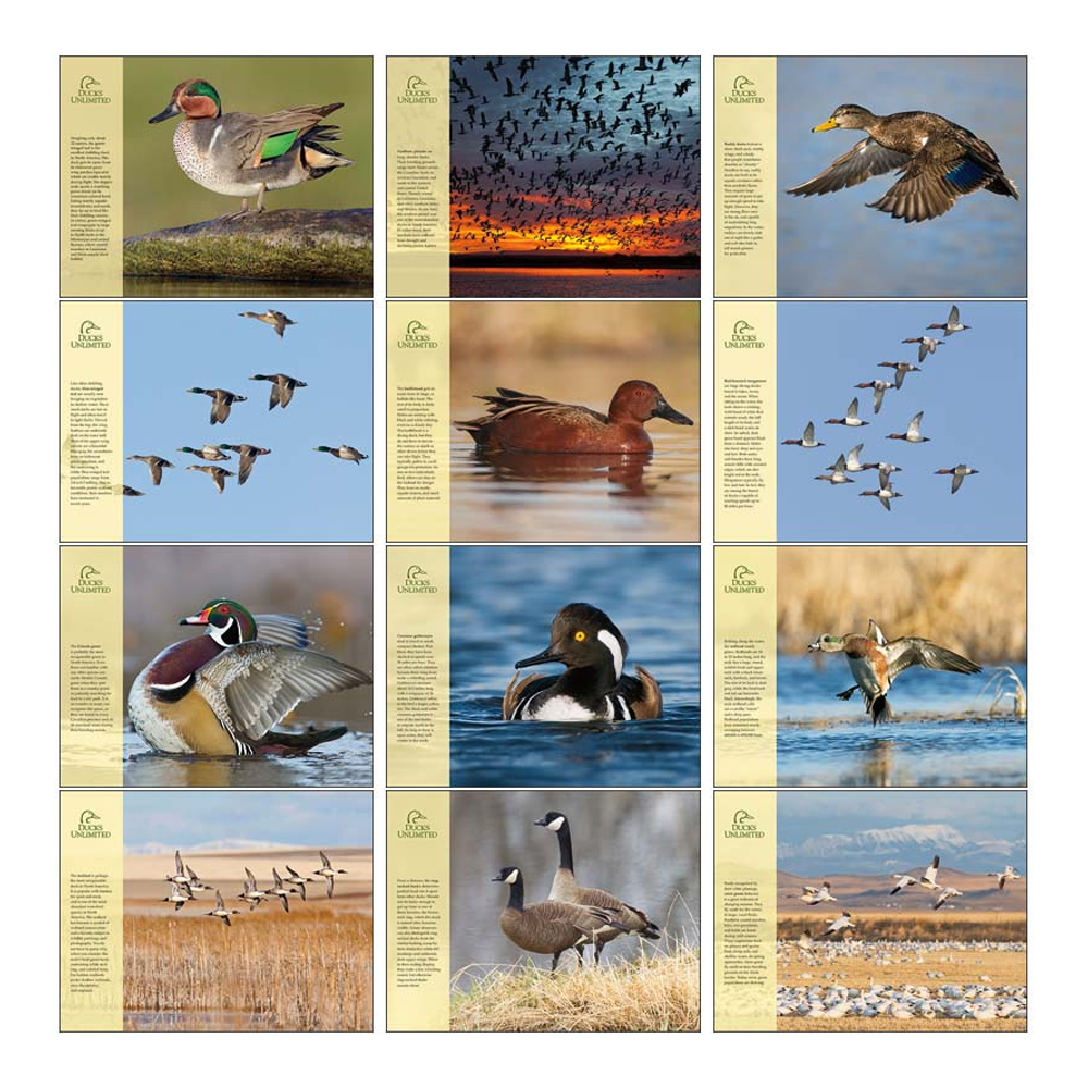 custom-ducks-unlimited-triumph-calendars-x11334-discountmugs