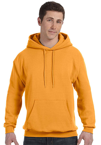 Embroidered Hanes ComfortBlend Eco Smart Pullover Hoodies | P170 ...