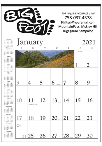 Custom Decorator Memo (White) Triumph Calendars | X11426 - DiscountMugs